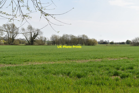 Photo 6"x4" Shirley Moor Park Hill\/TQ9531 c2021