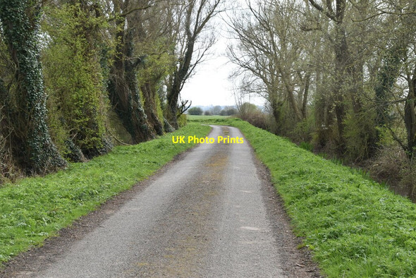 Photo 6"x4" Moor Lane Park Hill\/TQ9531 c2021