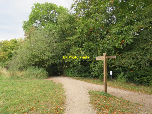 Photo 6"x4" Paths meet near Knaresborough Knaresborough c2021
