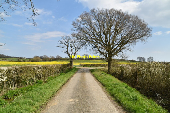 Photo 6"x4" Moor Lane Park Hill\/TQ9531 c2021 P2