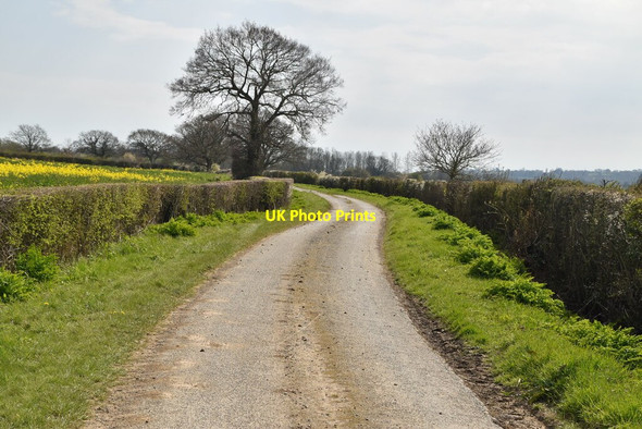 Photo 6"x4" Moor Lane Park Hill\/TQ9531 c2021