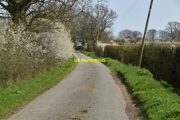 Photo 6"x4" Moor Lane Park Hill\/TQ9531 c2021