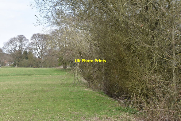 Photo 6"x4" Footpath by field edge Appledore Heath c2021