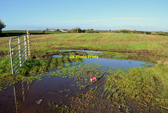 Photo 6"x4" Wet entrance to field, Drumconnelly Seskinore c2021