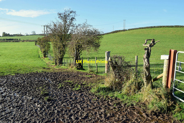 Photo 6"x4" A muddy field, Drumconnelly Seskinore c2021