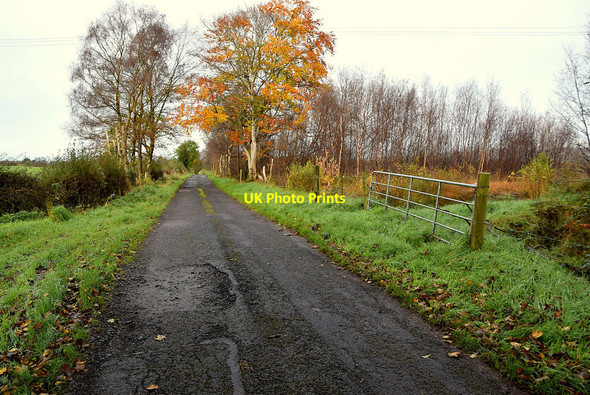 Photo 6"x4" Potholes along Deroar Road Beragh c2021