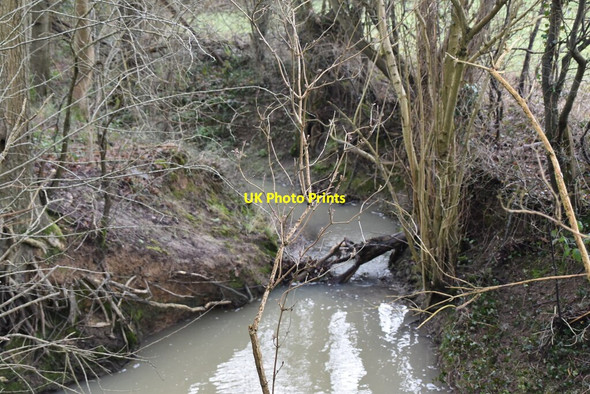 Photo 6"x4" Tributary stream of the River Teise Hartley\/TQ7534 c2021