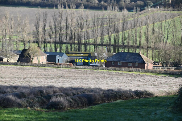 Photo 6"x4" Castle Farm Timberden Bottom c2021