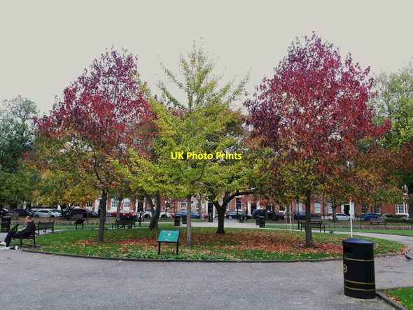 Photo 6"x4" Autumn in Park Square (2) Leeds\/SE3034 c2021