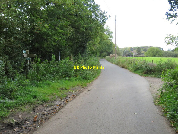 Photo 6"x4" Beryl Burton Cycleway, near Knaresborough Harrogate c2021