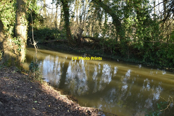 Photo 6"x4" River Darent Eynsford c2021