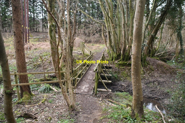 Photo 6"x4" Footbridge over River Line Mountfield\/TQ7320 c2021