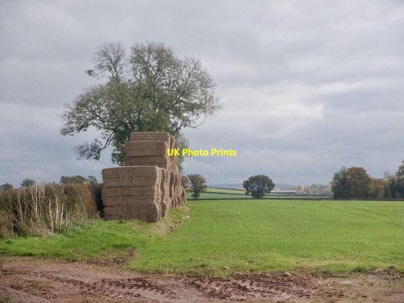 Photo 6"x4" Square bales near Auberrow Portway\/SO4845 c2021