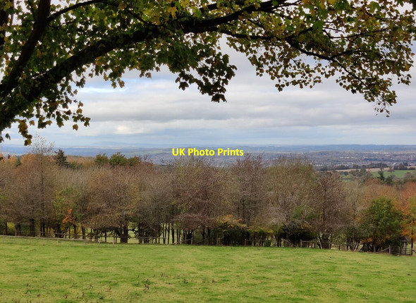 Photo 6"x4" View from the Nimmings Wood car park Clent c2021
