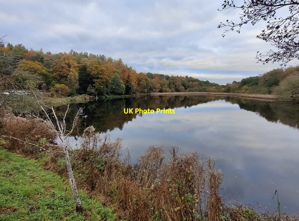 Photo 6"x4" Hurcott Wood and Hurcott Pool Hurcott\/SO8577 c2021
