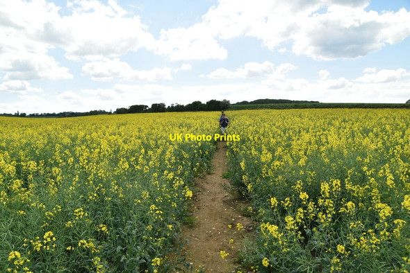 Photo 6"x4" Icknield Way Trail Catmere End c2021