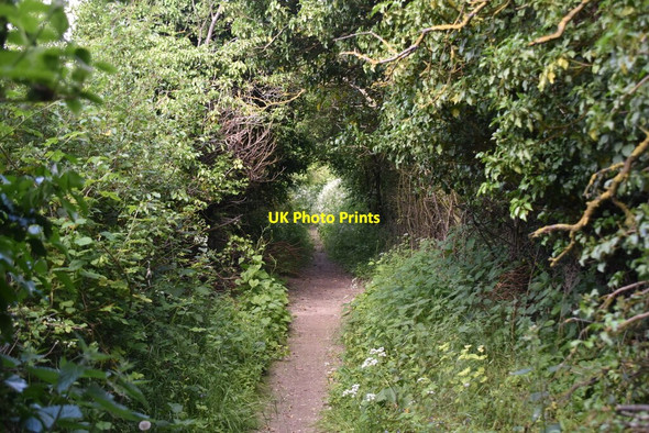 Photo 6"x4" Icknield Way Trail Great Chesterford c2021 P3