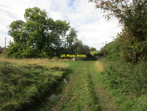 Photo 6"x4" Bridleway at Illston on the Hill Illston on the Hill c2021