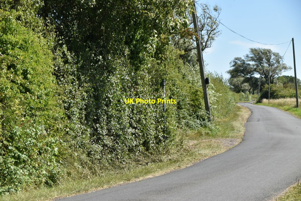 Photo 6"x4" Waymarker in the bushes Newchurch\/TR0531 c2020