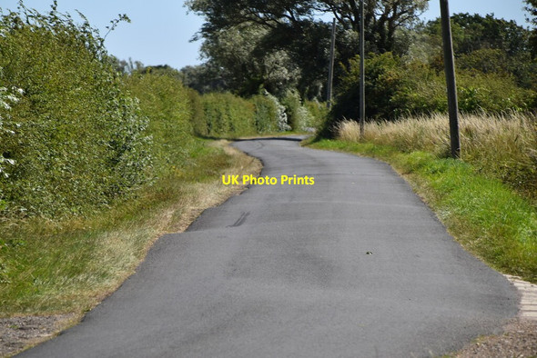 Photo 6"x4" Rural lane on Romney Marsh Newchurch\/TR0531 c2020