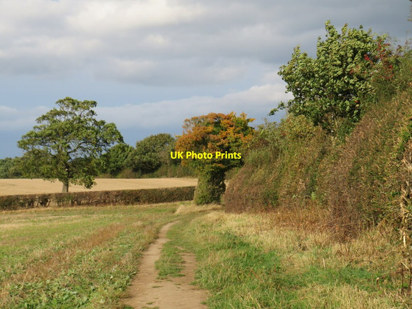 Photo 6"x4" Public bridleway near Harrogate Bilton\/SE3057 c2021