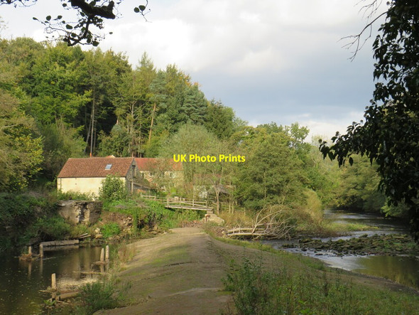 Photo 6"x4" Nidd Gorge, near Harrogate Bilton\/SE3057 c2021