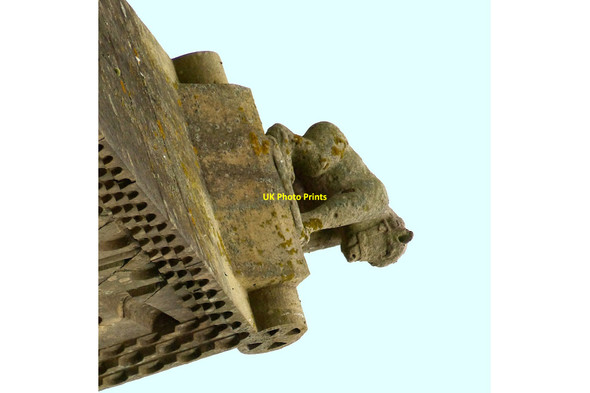 Photo 6"x4" Performing bear, Southwell Minster Southwell\/SK7053 c2021