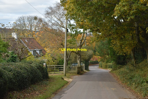 Photo 6"x4" Descending Castle Hill into Woodgreen Woodgreen\/SU1717 c2021