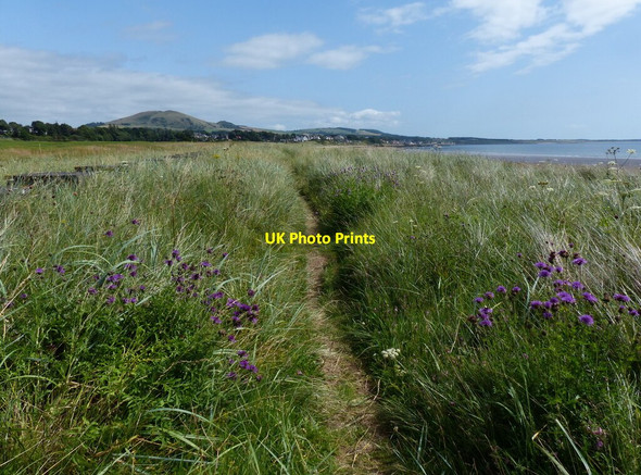 Photo 6"x4" Fife Coastal Path at Largo Bay Leven\/NO3800 c2019