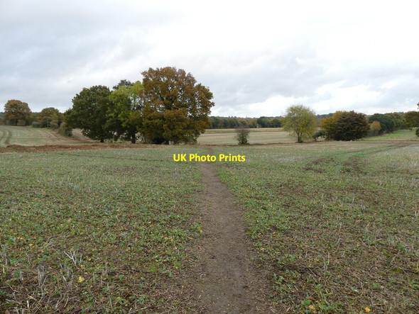 Photo 6"x4" Footpath heading away from Church Swanton Hill c2021