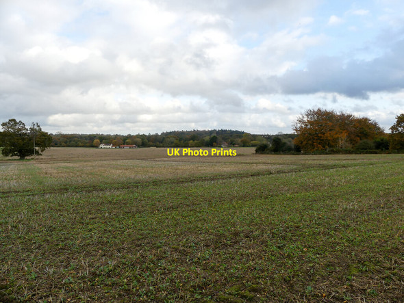 Photo 6"x4" View from footpath to distant houses Swanton Hill c2021