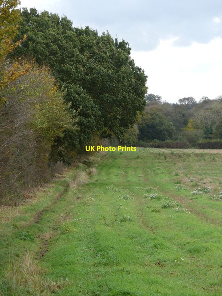 Photo 6"x4" Footpath continues along edge of field Swanton Hill c2021