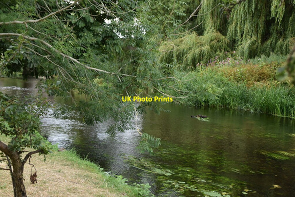 Photo 6"x4" River Great Stour Kempe's Corner c2020