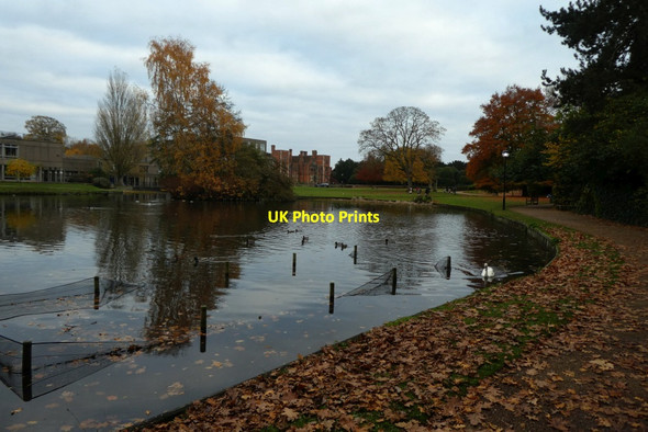 Photo 6"x4" Lake near Derwent Heslington c2021