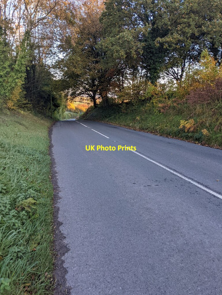 Photo 6"x4" Road into Coldharbour, Monmouthshire Llandenny Walks c2021