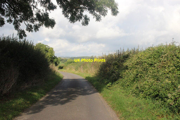 Photo 6"x4" Wick Rd Near Browns Farm Kingsbury Regis c2021