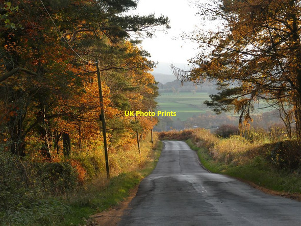 Photo 6"x4" The road to the Shire Hexham c2021 P1