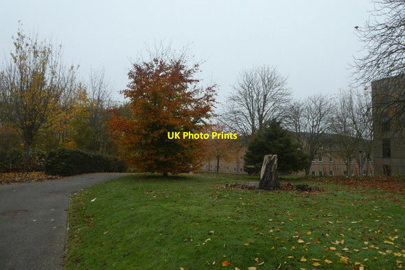 Photo 6"x4" Path in Alcuin Heslington c2021