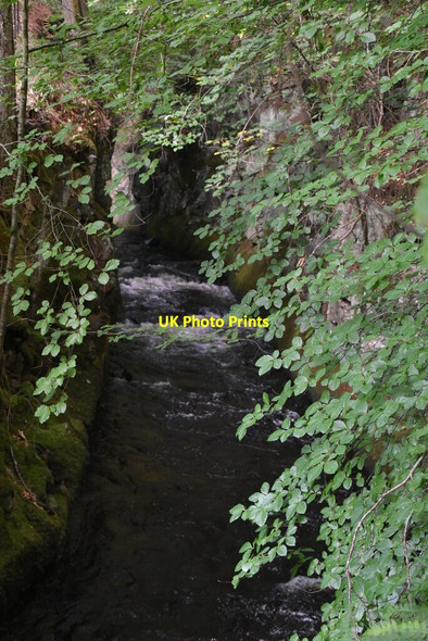 Photo 6"x4" Gorge by Linn of Tummel Faskally c2021