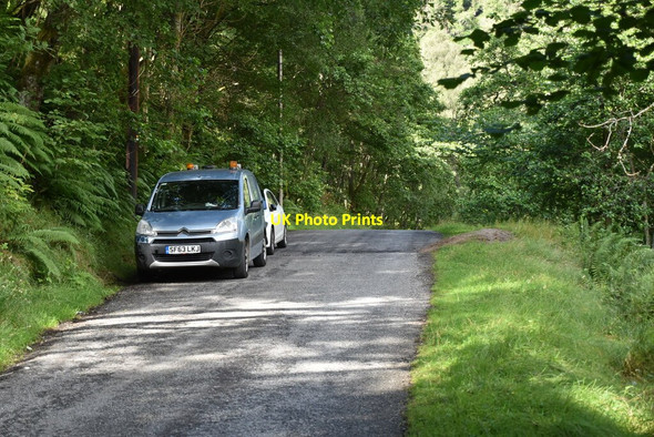 Photo 6"x4" Minor road in Tummel valley Faskally c2021