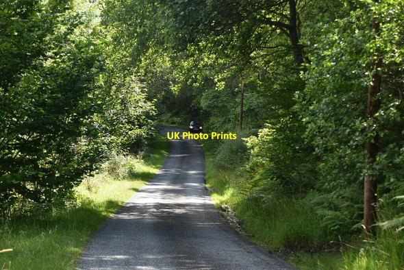 Photo 6"x4" Minor road in the Tummel valley Faskally c2021