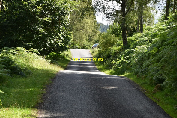 Photo 6"x4" Minor road in Tummel valley Faskally c2021