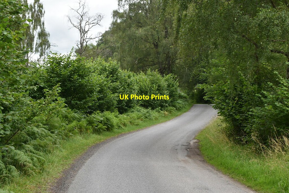 Photo 6"x4" Minor road in the Tummel valley Faskally c2021