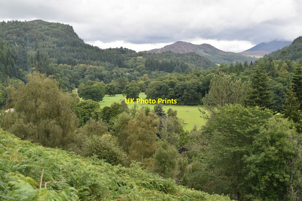 Photo 6"x4" View across the Tummel valley Faskally c2021