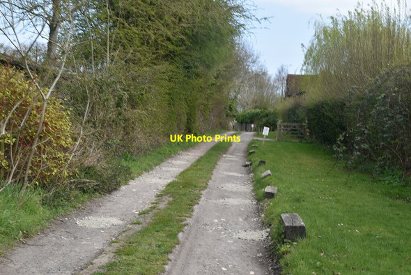 Photo 6"x4" Donkey Lane Appledore Heath c2021