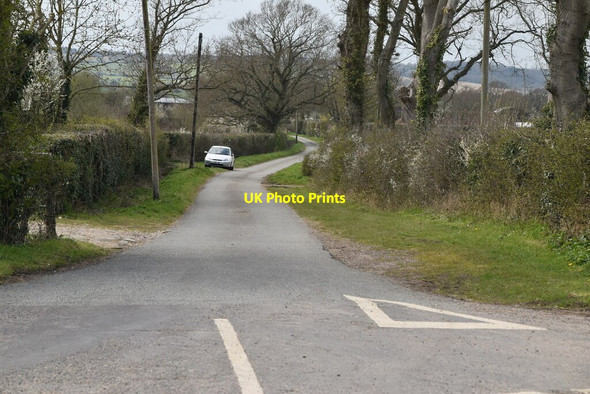 Photo 6"x4" Moor Lane Park Hill\/TQ9531 c2021