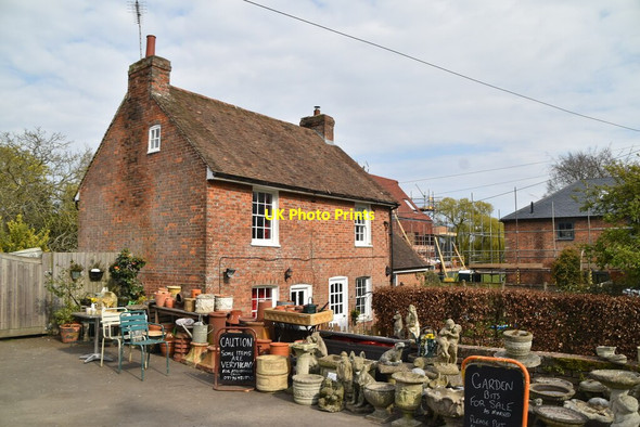 Photo 6"x4" 7, The Street Appledore\/TQ9529 c2021