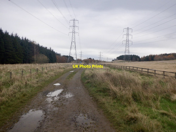 Photo 6"x4" Power lines, Dreghorn Dreghorn\/NT2268 c2021