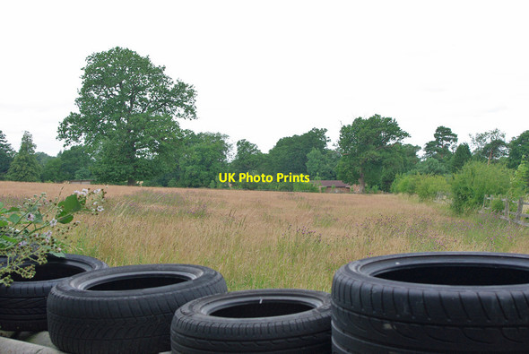Photo 6"x4" Field of grass with tree west of Salfords Salfords c2010