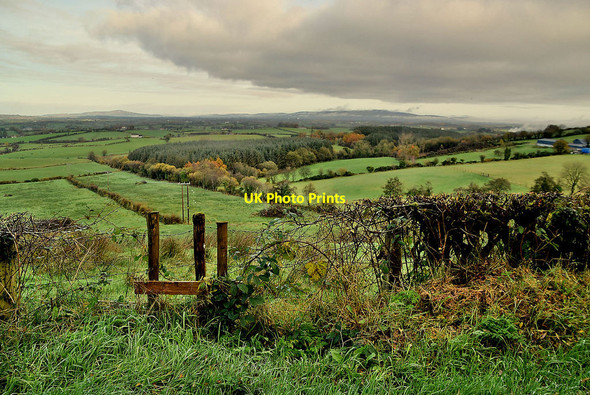 Photo 6"x4" Daughton Townland Fintona c2021